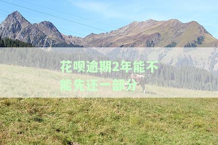 花呗逾期2年能不能先还一部分