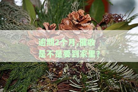 逾期两个月催收话术及上门催收