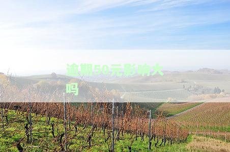 逾期50块钱会上征信吗？逾期50块钱一年会起诉吗？逾期50块钱能贷款买房吗？