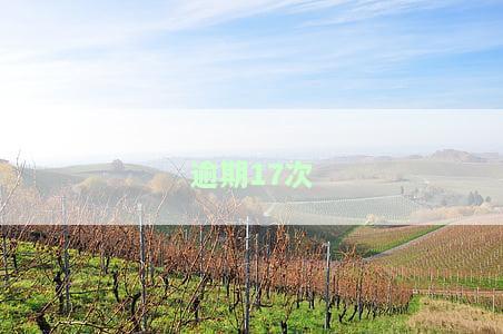 逾期17次已还清能贷款吗，信用卡逾期3-6月会怎么样，2023年个人征信放宽