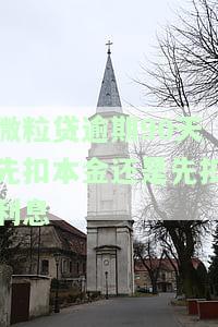 微粒贷逾期90天可以只还本金吗及后果