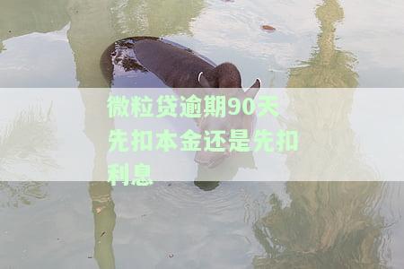 微粒贷逾期后的利息结算是按国家规定的吗？