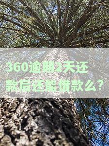 360逾期2天还款后还能借款么嘛？怎么办？