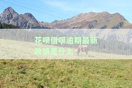 花呗借呗逾期最新政策是什么