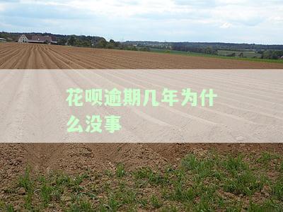 花呗逾期了很久没还是会告上法庭？