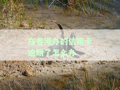 在香港办的信用卡逾期了怎么办
