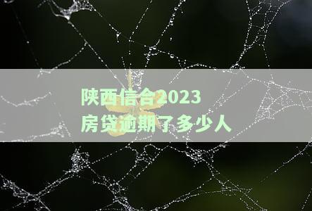 陕西信合2023房贷逾期了多少人