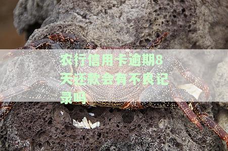 农行信用卡逾期如何协商解决及影响