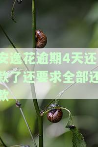 安逸花逾期4天还款了还要求全部还款