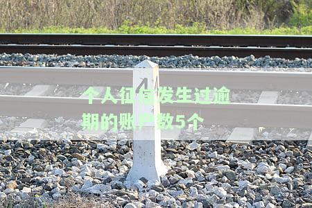个人征信发生过逾期的账户数5个