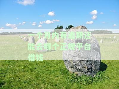 一个月内有逾期还能去哪个正规平台借钱