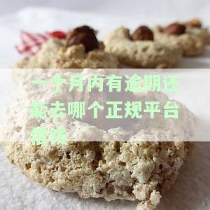 一个月内有逾期还能去哪个正规平台借钱