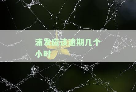 浦发应该逾期几个小时