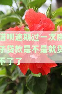 借呗逾期过可以申请房贷吗？怎么办？