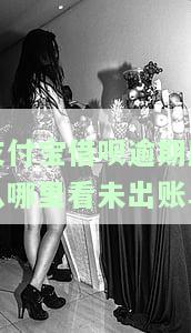 支付宝借呗逾期后从哪里看未出账单呢