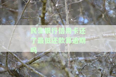 民生银行信用卡还了最低还款算逾期吗