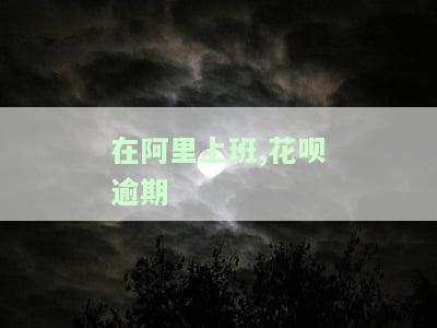 在阿里上班,花呗逾期