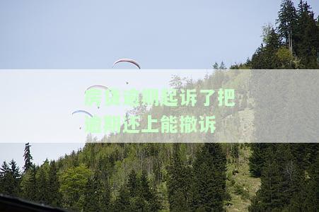 房贷逾期被起诉了，还清贷款会撤诉吗？