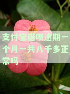 支付宝借呗逾期一个月一共八千多正常吗