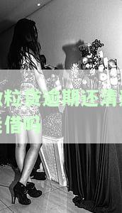 微粒贷逾期后还清了，还能继续贷款吗？