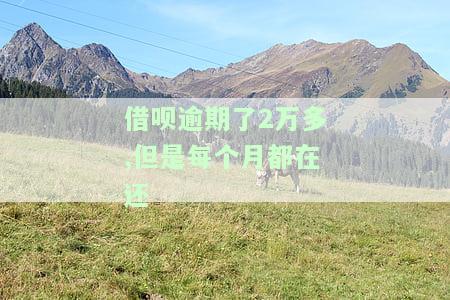 借呗逾期了2万多,但是每个月都在还