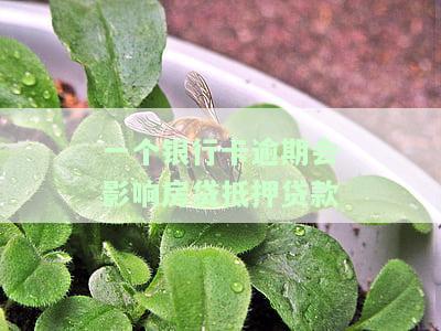 一个银行卡逾期会影响房贷抵押贷款吗安全且会影响其他银行卡吗？