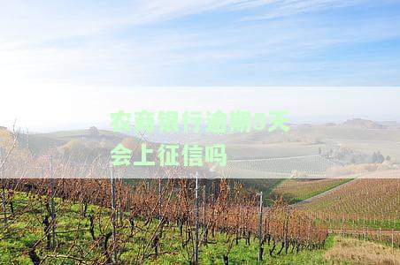 农商银行逾期5天会上征信吗