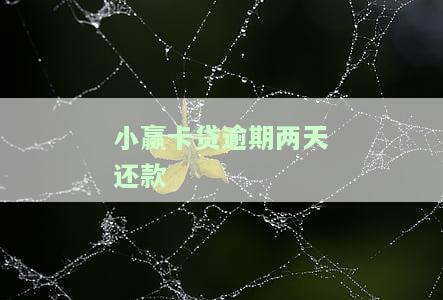小赢卡贷逾期两天还款会上征信吗？