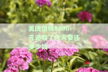 美团借钱8000元逾期了六天要还多少钱