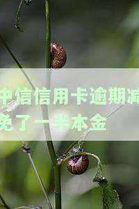 中信银行协商还款减免流程及政策