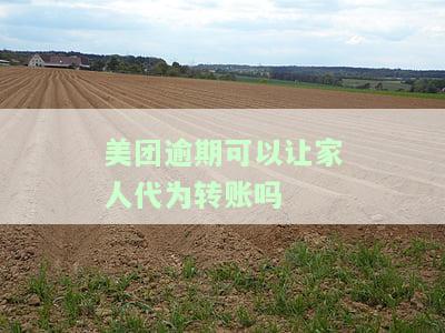 美团逾期还进去工作人员真的可以帮借出来吗，安全可靠？
