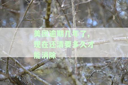 美团逾期几年了，现在还清要多久才能消除记录并恢复使用？