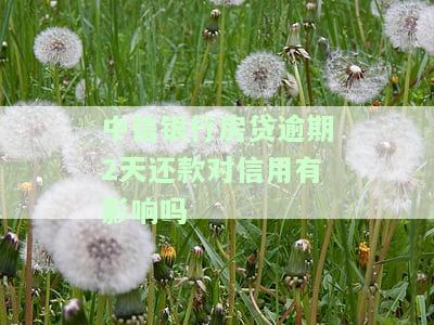 中信银行房贷逾期2天还款对信用有影响吗