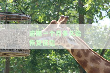 一般逾期多久上征信啊，网贷、银行贷款、贷款、车贷逾期规定