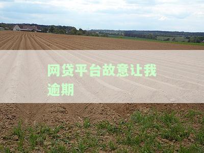 网贷平台故意让我逾期