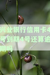 兴业银行信用卡4号到期4号还算逾期吗知乎怎么解决？