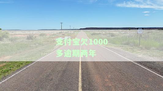 支付宝欠1000多逾期两年