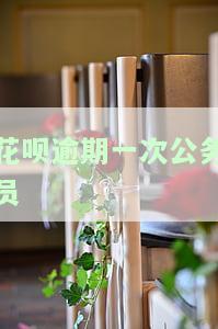 花呗逾期一次公务员