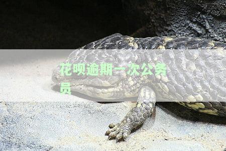 花呗逾期一次公务员