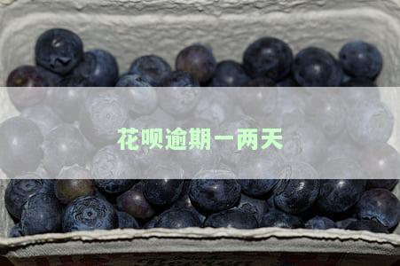 花呗逾期两天天会有什么后果