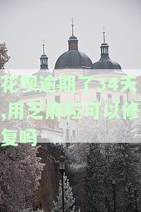 支付宝花呗逾期用芝麻粒恢复后是否还有不良记录？