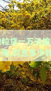 微粒贷一万元逾期一天,罚息多少钱