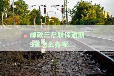 邮政三户联保的还款期限是几年，以及解除条件和贷款要求？