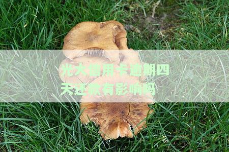 光大信用卡逾期四天还款有影响吗