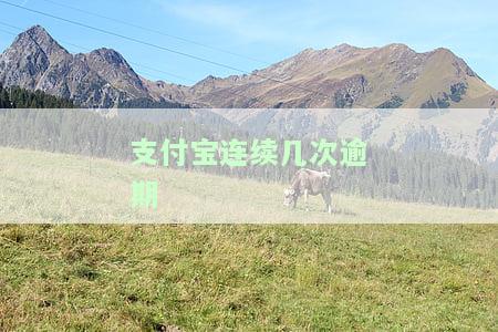 支付宝连续几次逾期