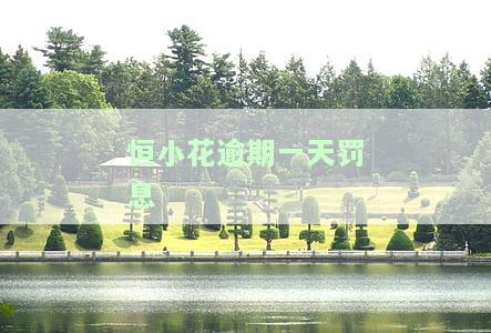 恒小信贷款：了解下款和征信的效果如何？
