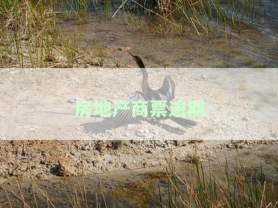 房地产商票逾期全国排名及地产公司名单