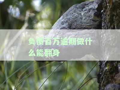 负债百万逾期做什么能翻身
