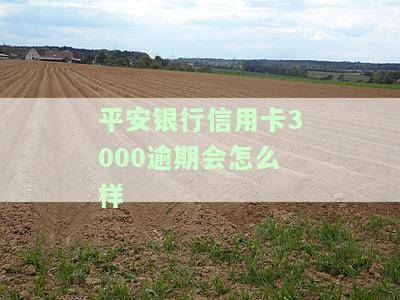 欠平安银行信用卡3000三年了会坐牢吗