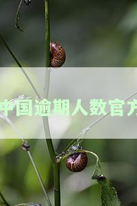 中国逾期人数官方